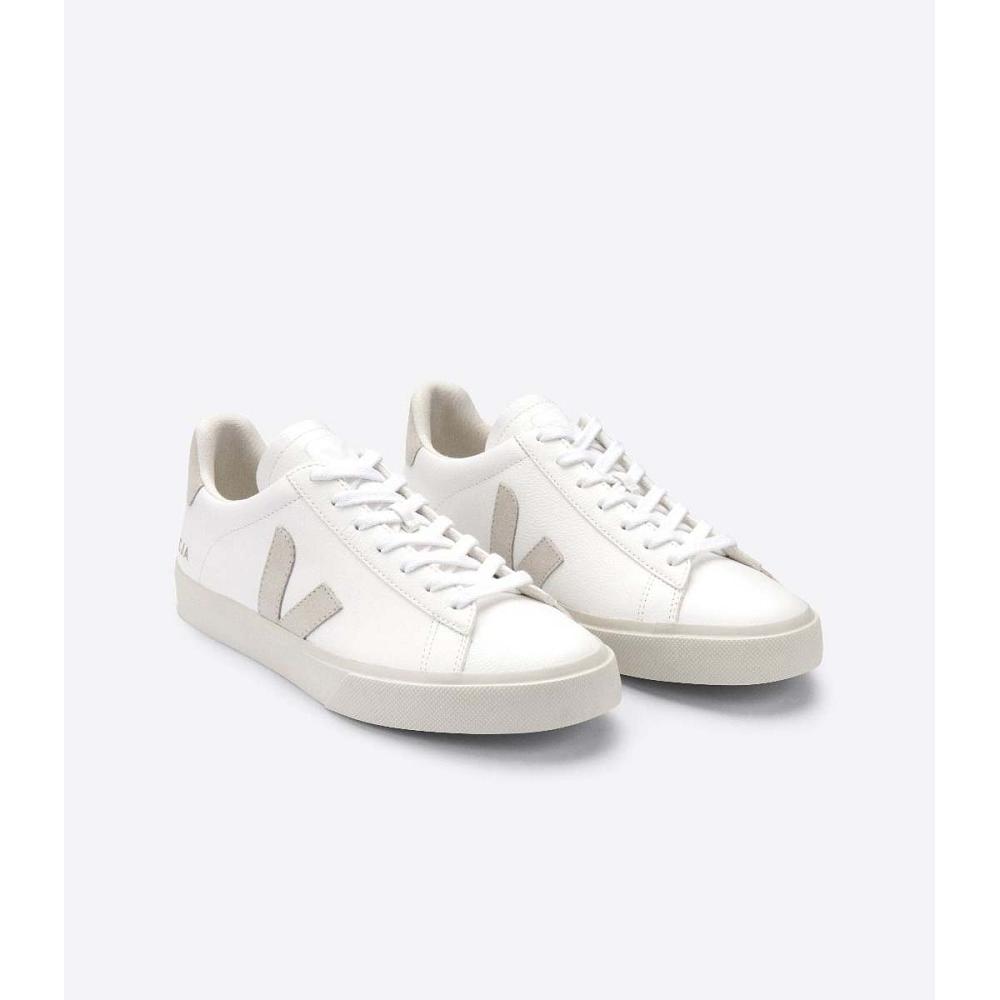 Low Tops Sneakers ανδρικα Veja CAMPO CHROMEFREE White/Beige | GR 203KOR